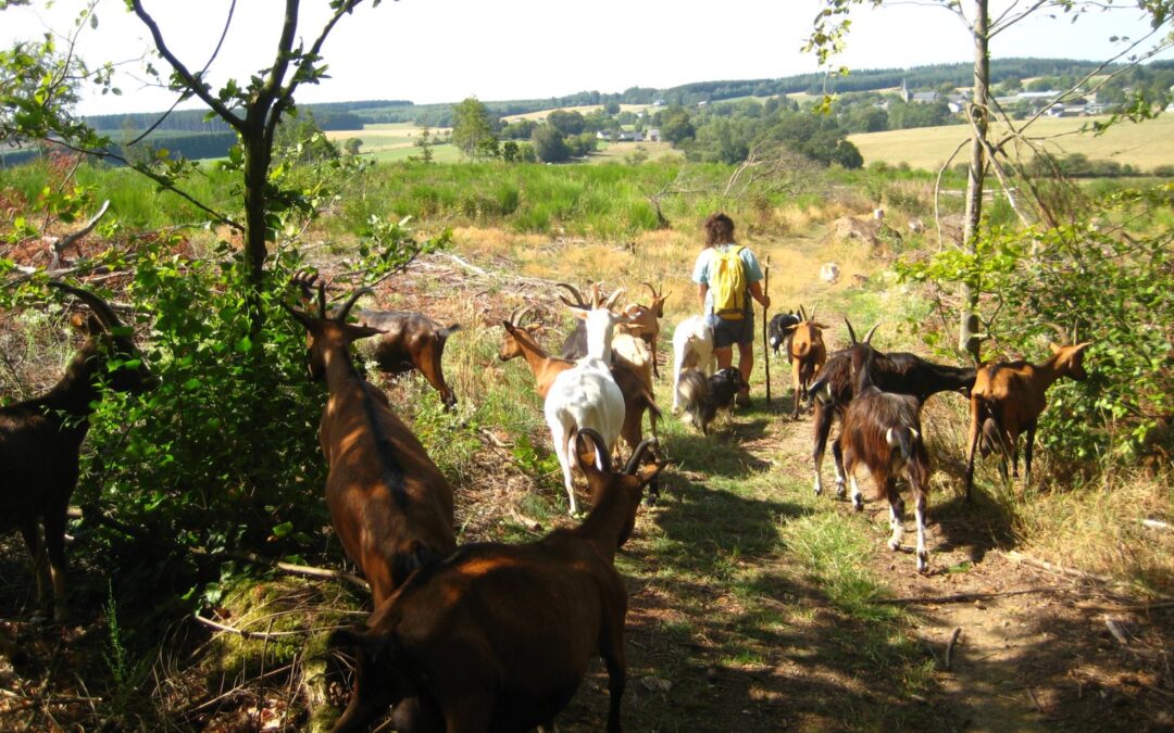 Ferme de la Bèrwète